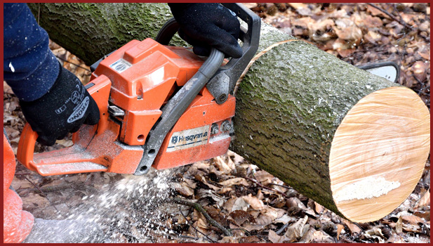 photo of chainsaw